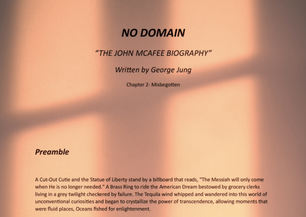 no-domain-john-mcafee-biography-1024x728-1447791